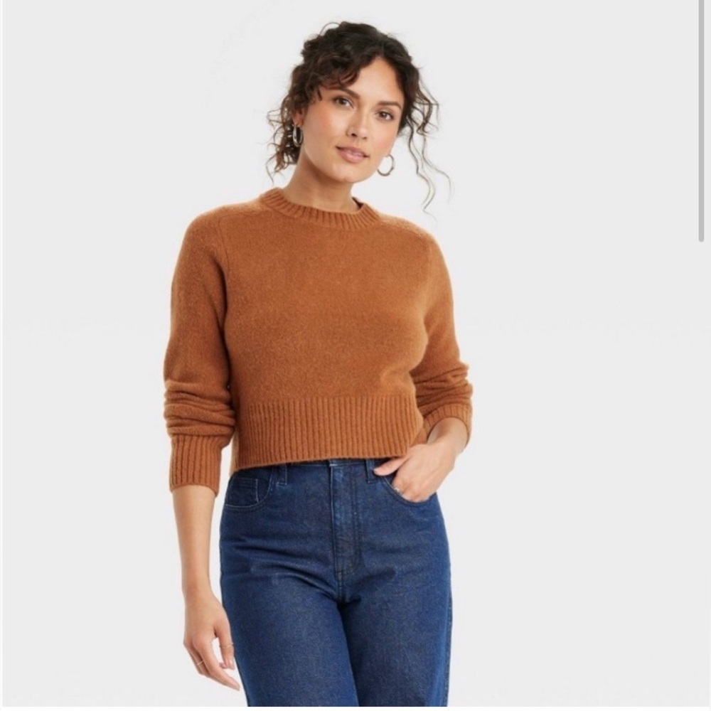 Universal Thread Rust Brown Crewneck Sweater